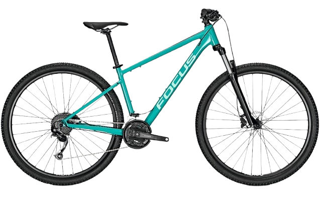 Focus Whistler 3.6 - 29 pulgadas - Diamant
